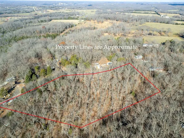 554 Mulling Drive, Highlandville, MO 65669