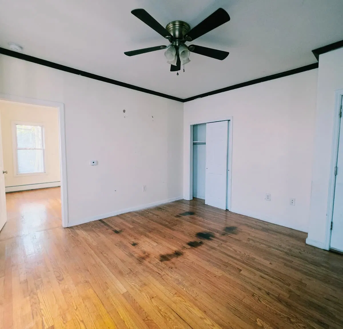 2 bed, 800 sqft, $1,950 — Photo 4