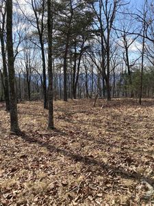 0 Grandview Rd, Signal Mountain, TN, 37377