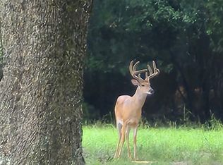 0 Shiloh Rd, Americus, GA 31719