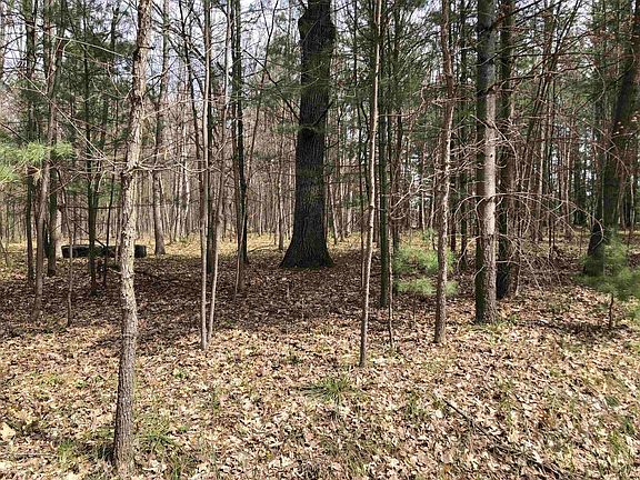 5th image of W Eight Point Lake Rd