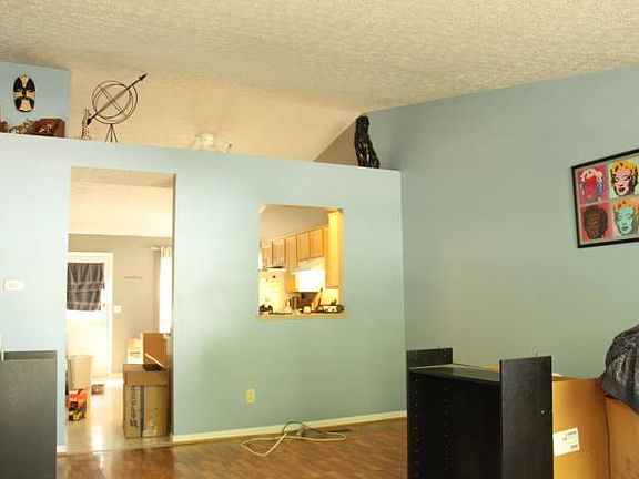 Vaulted Living Room