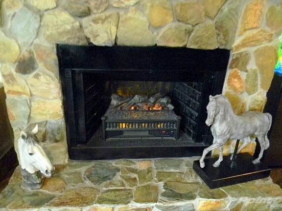 Wood Burning Fireplace w/Elect Insert