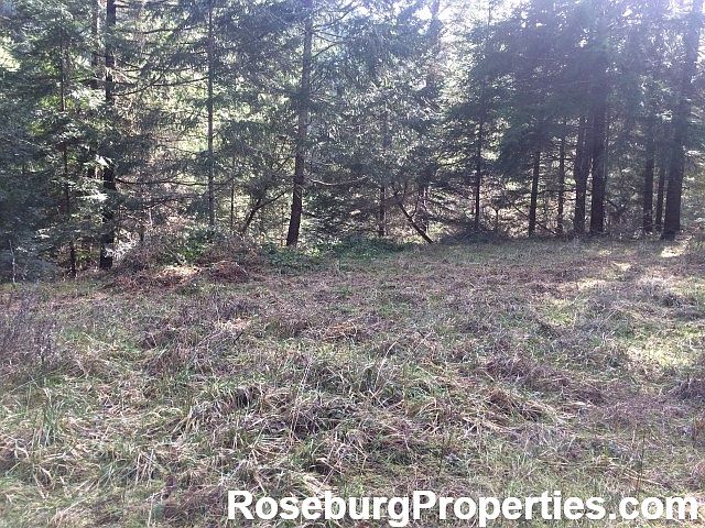 12844 North Myrtle Road