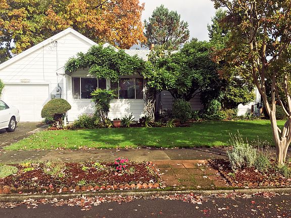 Front in Fall