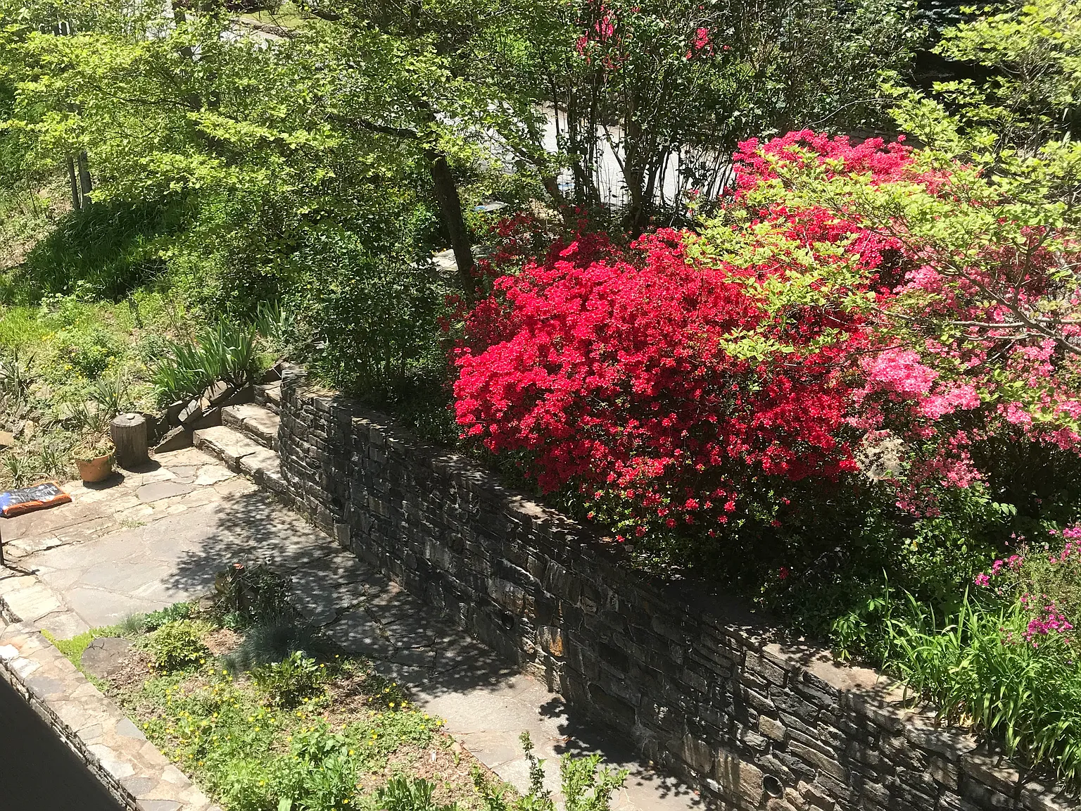 126 Iris Ln — Photo 3
