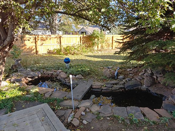 Pond