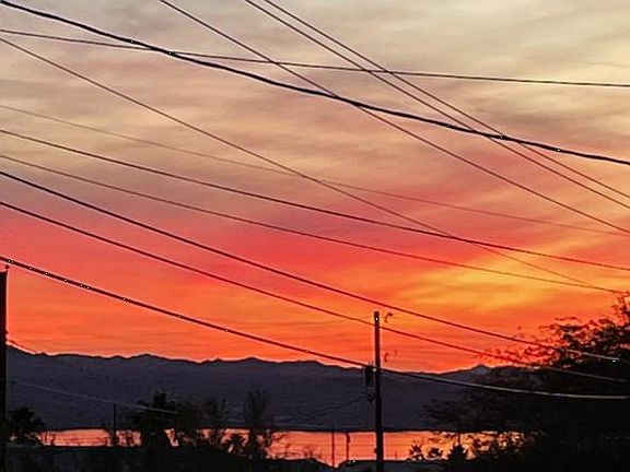 Back yard view