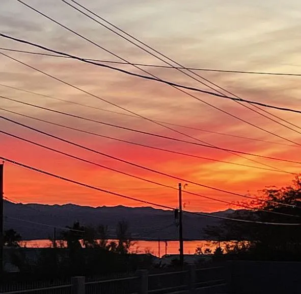 Back yard view