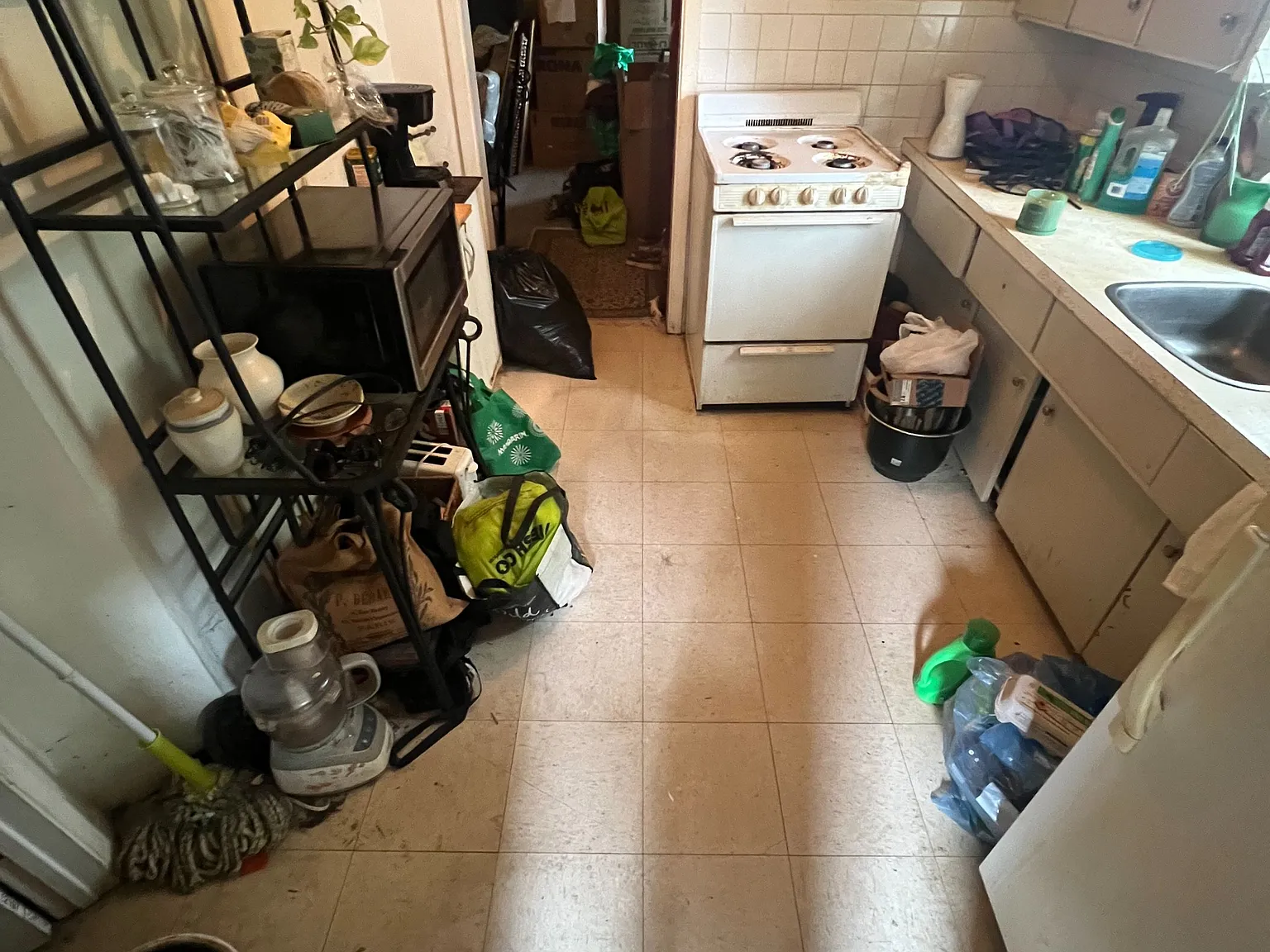 1 bed, $995 — Photo 2