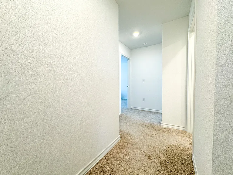 2904 Bronx Dr — Photo 22