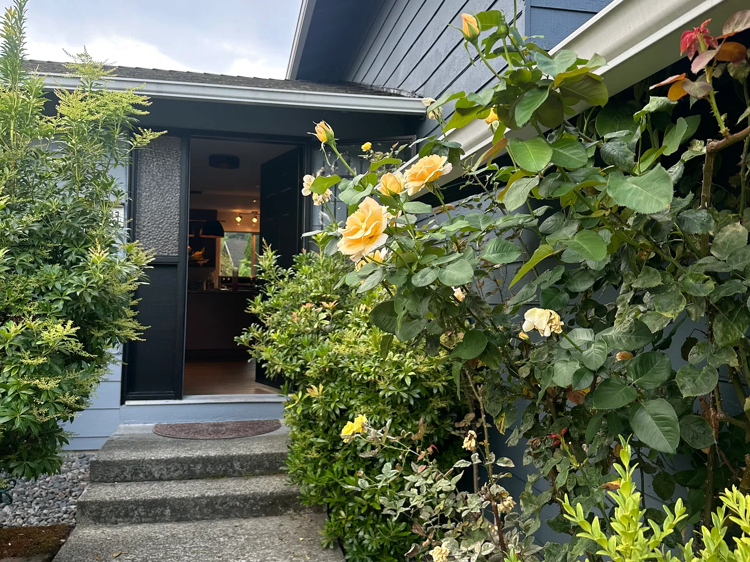 12921 NE 136th Pl — Photo 3