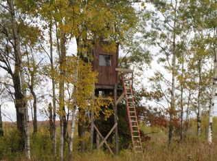 Todd Rd, Neillsville, WI 54456