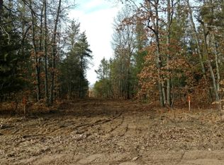 1 S Spruce Rd, Idlewild, MI 49642