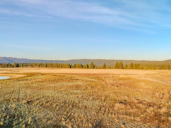 4th image of 40 Rawhide Loop