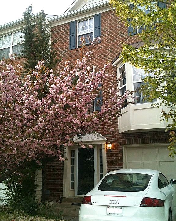 beautiful brick front