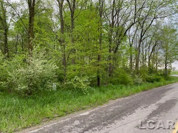 8000 Stephenson Rd Lot 10, Onsted, MI 49265