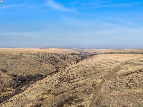 Badger Canyon Rd, Condon, OR 97823