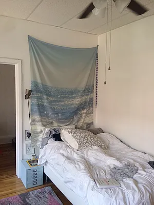 Rented by Realty Collective | media 12