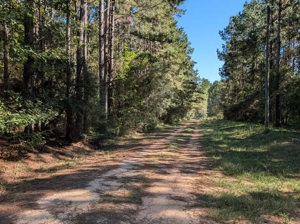 Nhn Three Ponds Rd, Poplarville, MS 39470