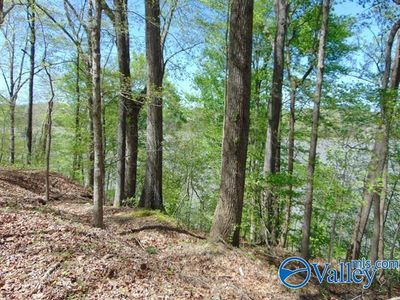 18288 Blue Springs Rd, Athens, AL, 35611