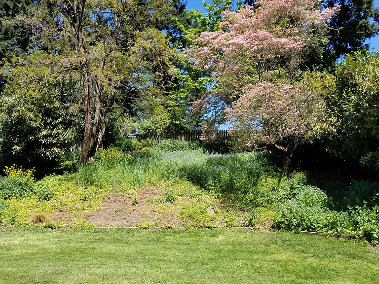 NE 88th Ave — Photo 12