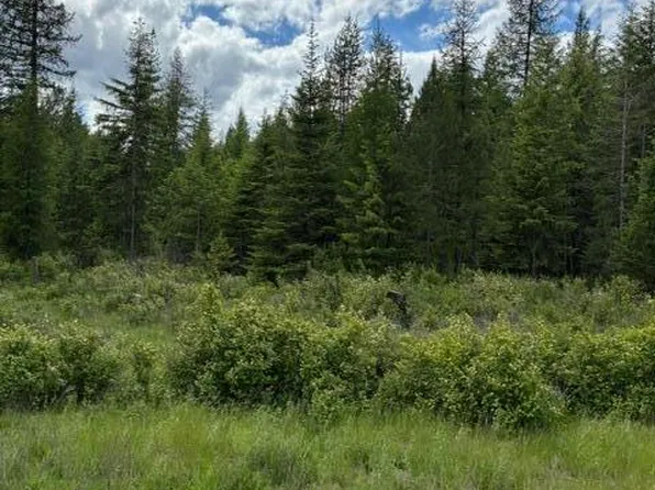 Good Hope Rd, Athol, ID 83801