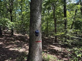 0 Herndon Cemetery Rd, Big Sandy, TN 38221