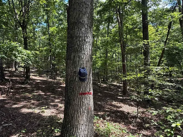 0 Herndon Cemetery Rd, Big Sandy, TN 38221