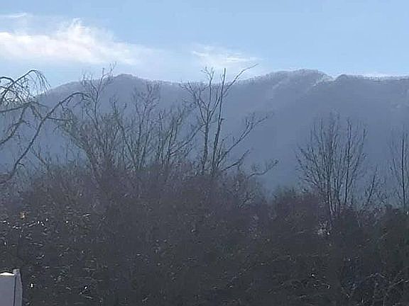 4th image of 448 Mountain Thrush Dr