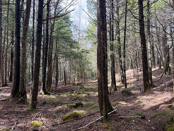 3rd image of X Smith Cove Road