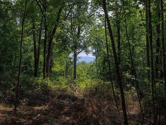 5th image of Tbd Pounding Branch Rd