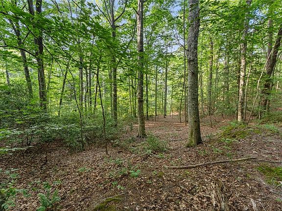 4th image of LOT 9 Deerwood Ct