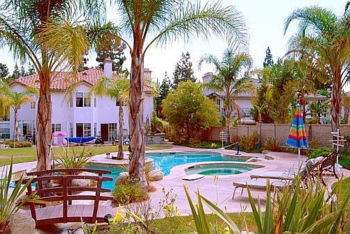 Partial Backyard View