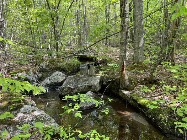 00 Lot 29 Winkumpaugh Road, Ellsworth, ME 04605