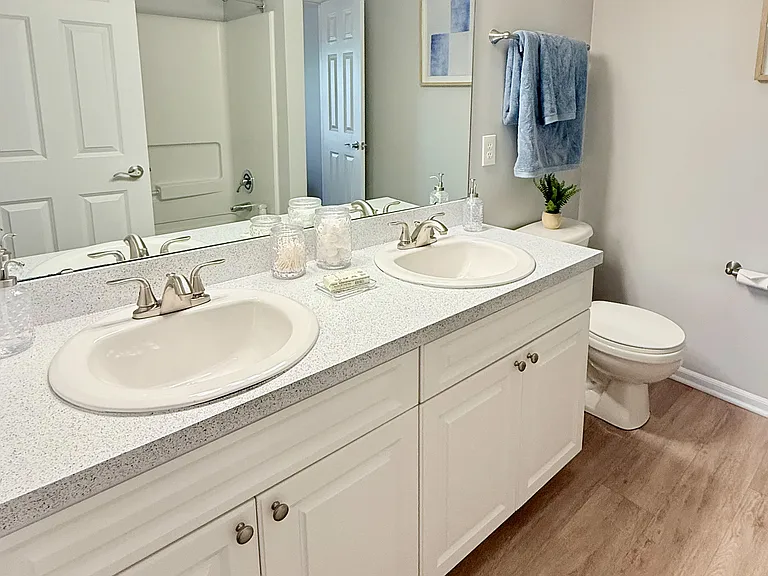 Double Vanity Bathroom