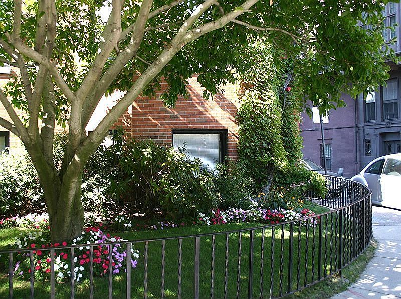 beautiful landscaping