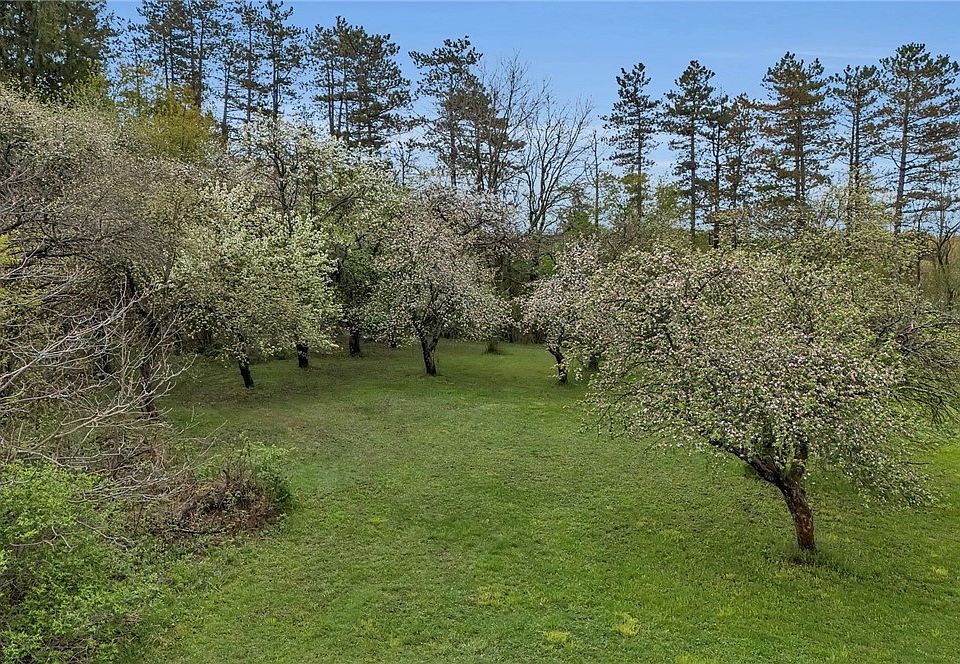 49th image of 12979 Bullis Rd
