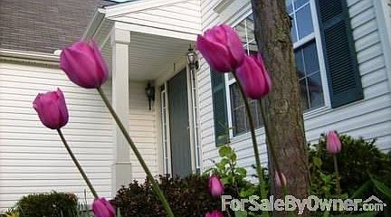 We've loved the backyard!
						:
						We'll greatly miss the nightly bonfires in the fire-pit and smores.