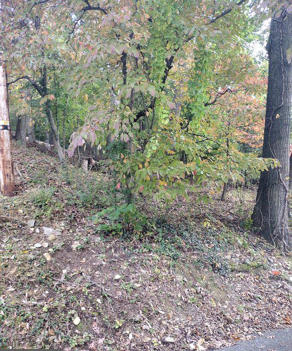 2nd image of 0 Skiway Ave