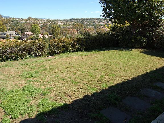 Grass Area in Backyard!