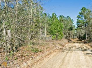 0 Turkey Ridge Rd, Metter, GA 30439