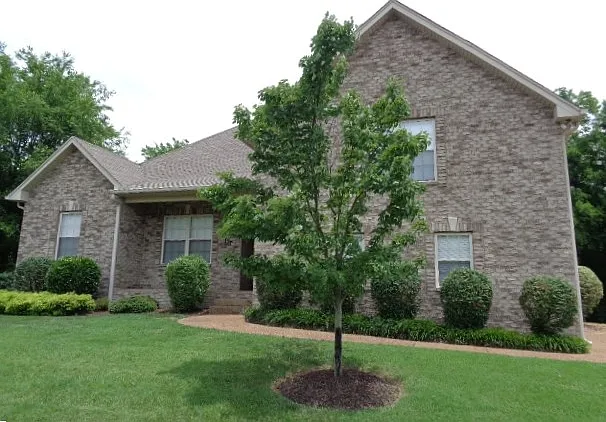 117 Savo Bay