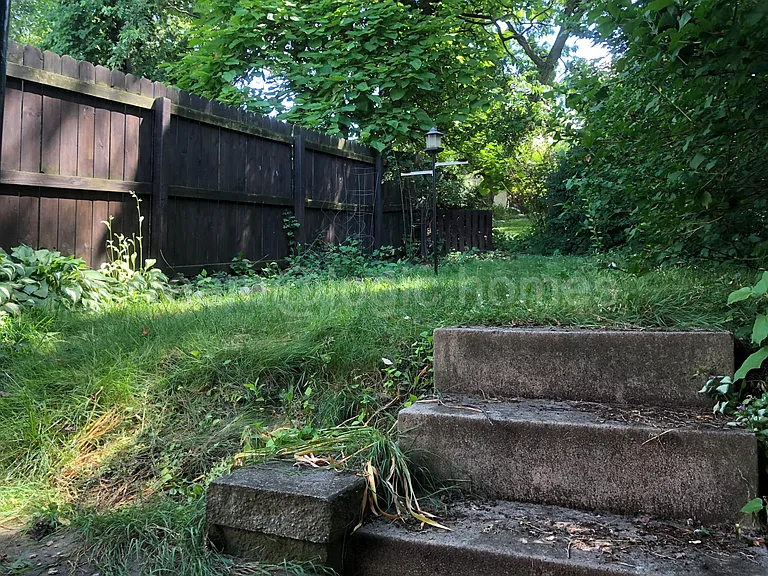 Back yard