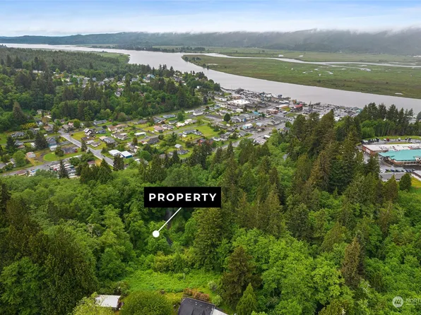 0 X Rixon Road, South Bend, WA 98586