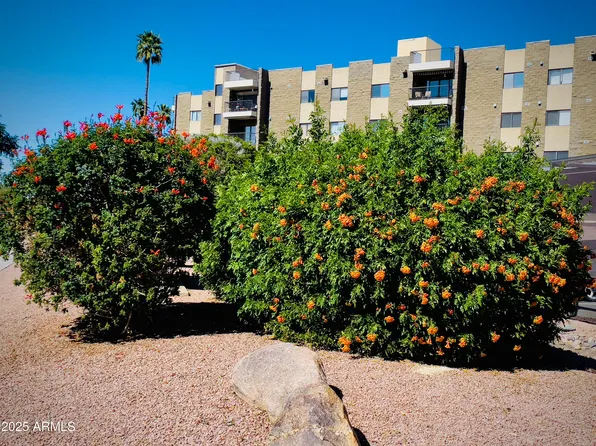 425 S PARKCREST -- #335, Mesa, AZ 85206