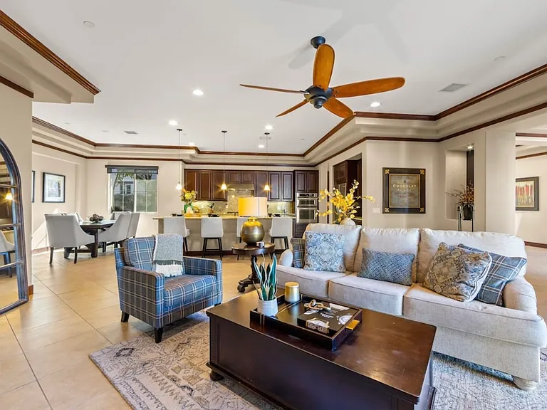 51010 Mandarina — Photo 10