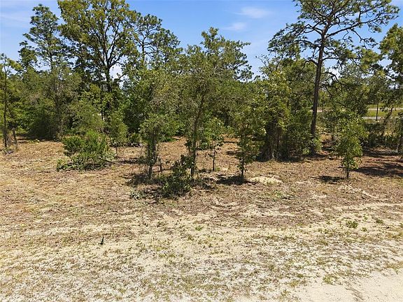 3rd image of LOT 10 Cagarro Rd Lot 10