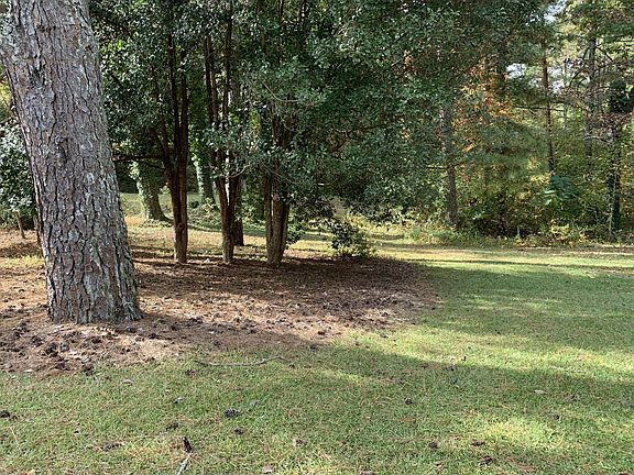 Partial view of back yard.
