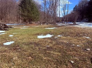 County Road 16 Lot 23, Beaver Dams, NY 14812